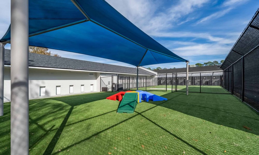 Pet_Paradise_Newberry_1761-1