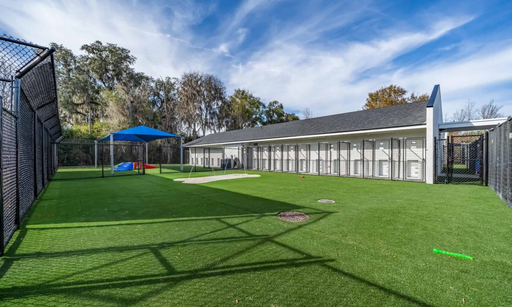 Pet_Paradise_Newberry_1887-1