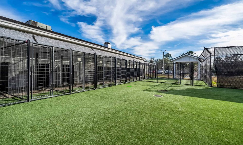 Pet_Paradise_Newberry_2039-1