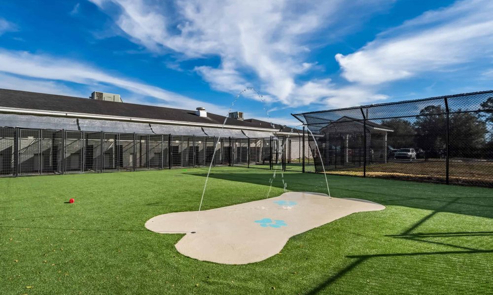 Pet_Paradise_Newberry_2076-1