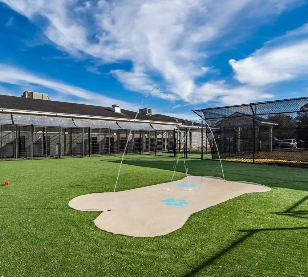 Pet_Paradise_Newberry_2076-1