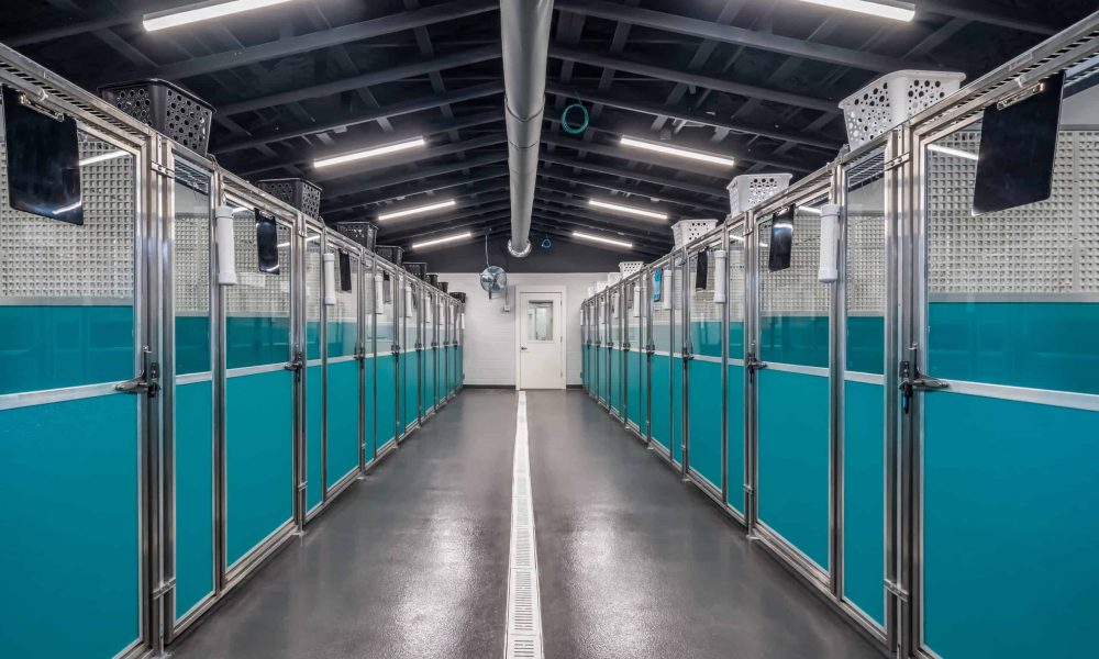 Pet_Paradise_Newberry_2096-1