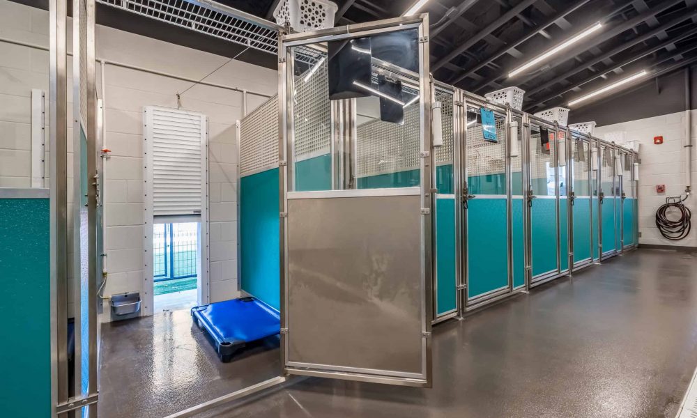 Pet_Paradise_Newberry_2141-1