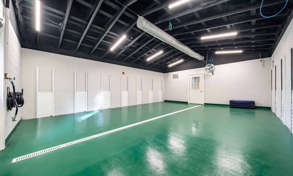 Pet_Paradise_Newberry_2220-1