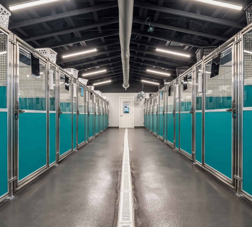 Pet_Paradise_Newberry_2240-1