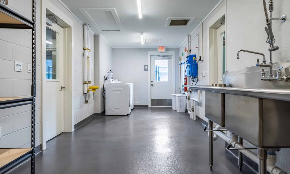 Pet_Paradise_Newberry_2292-1