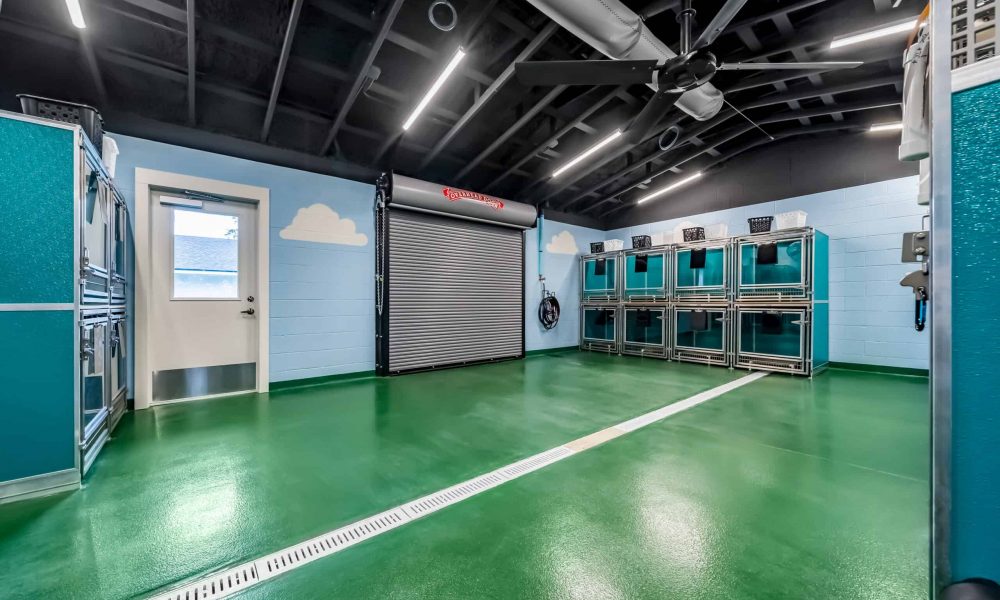 Pet_Paradise_Newberry_2301-1