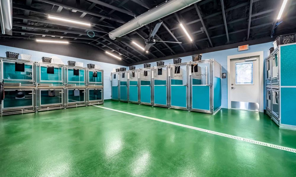 Pet_Paradise_Newberry_2337-1