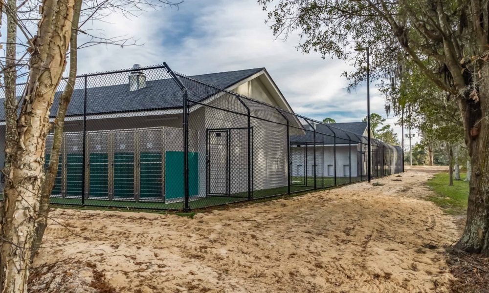 Pet_Paradise_Newberry_2506-1