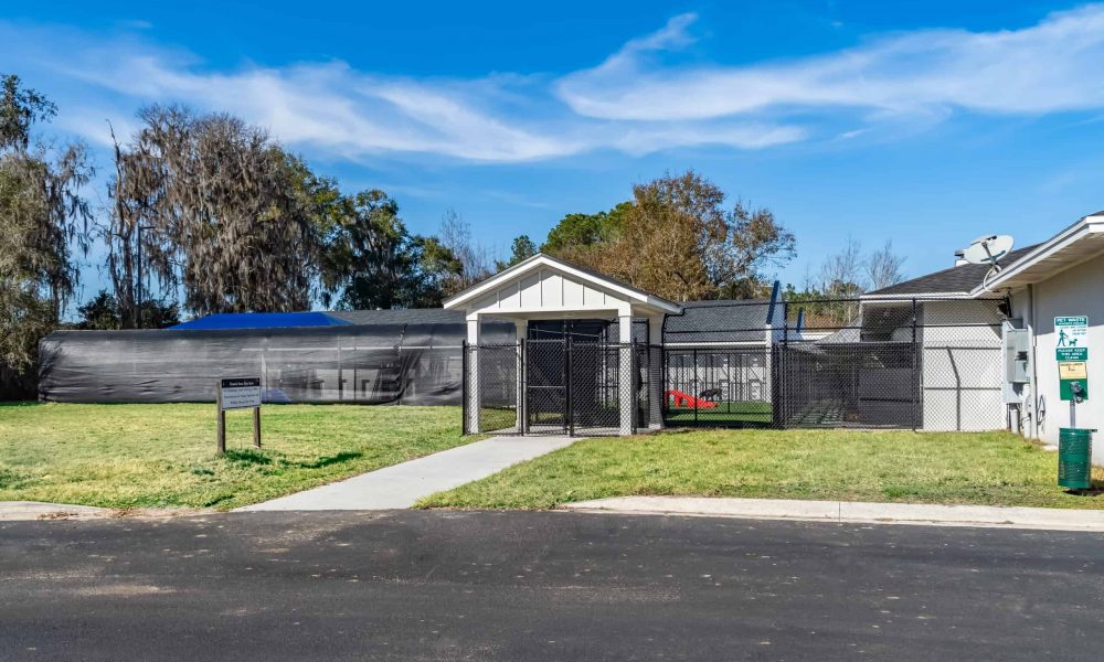 Pet_Paradise_Newberry_4320-1