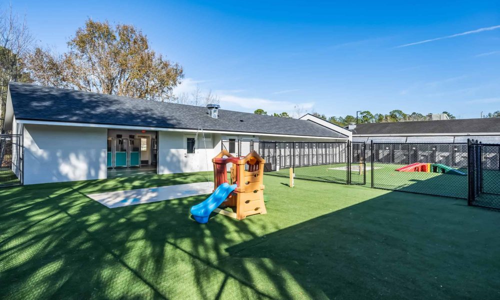 Pet_Paradise_Newberry_4435-1