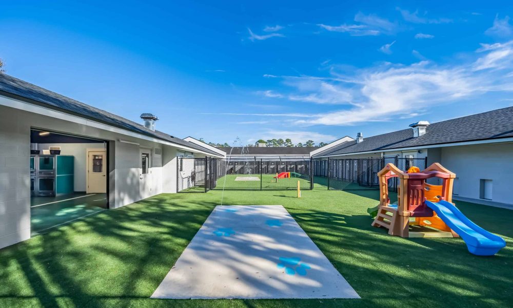 Pet_Paradise_Newberry_4499-1