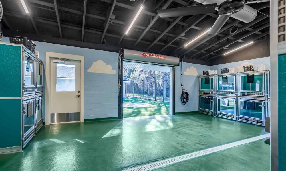 Pet_Paradise_Newberry_4599-1