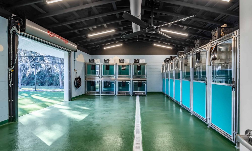 Pet_Paradise_Newberry_4617-1