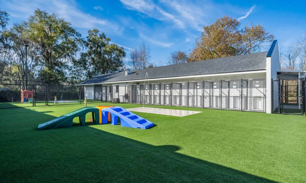 Pet_Paradise_Newberry_4679-1