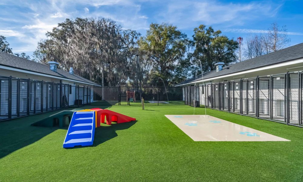 Pet_Paradise_Newberry_4696-1