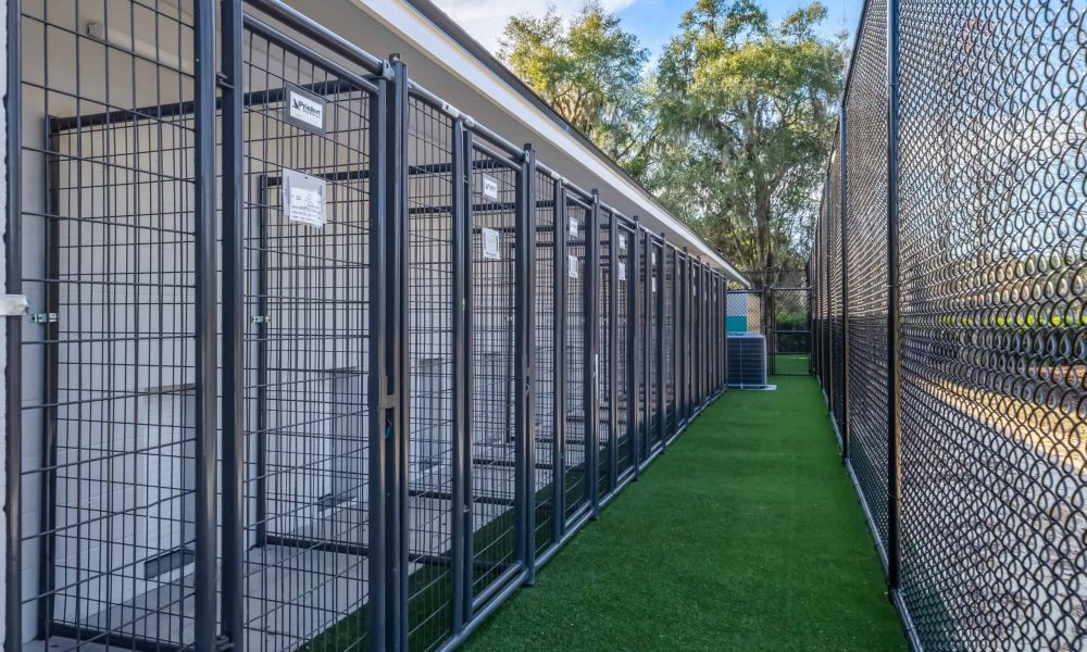 Pet_Paradise_Newberry_4715-1