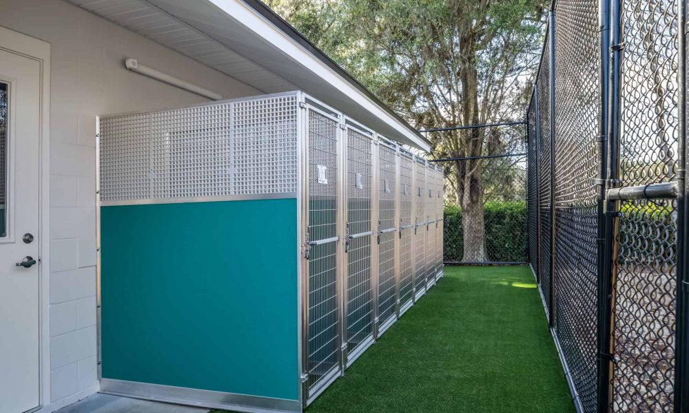 Pet_Paradise_Newberry_4735-1