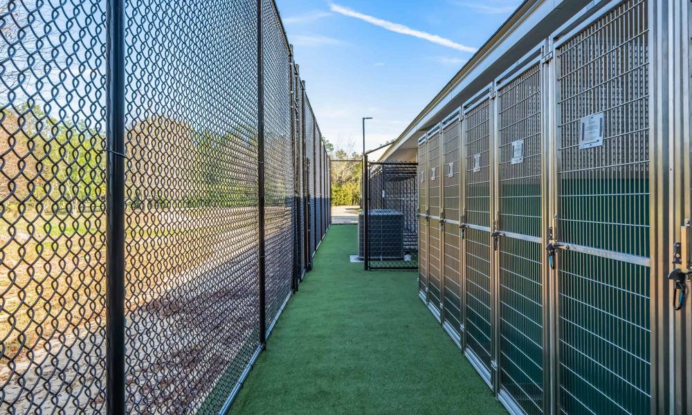 Pet_Paradise_Newberry_4771-1