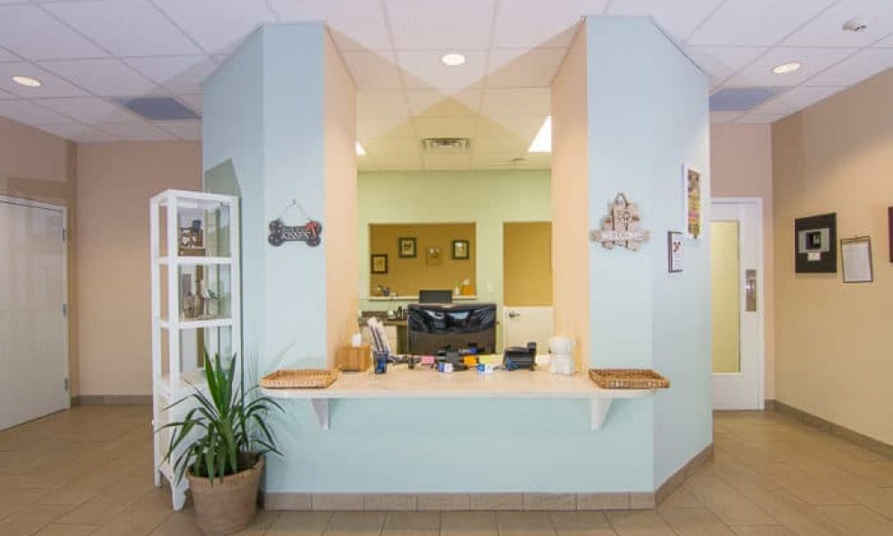 Website picture - check-in