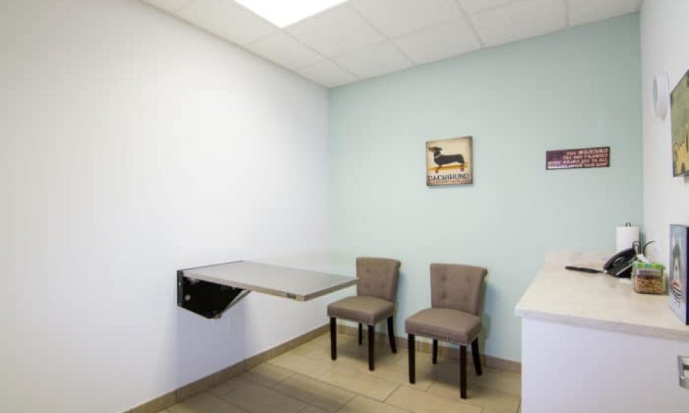 Website picture - exam room