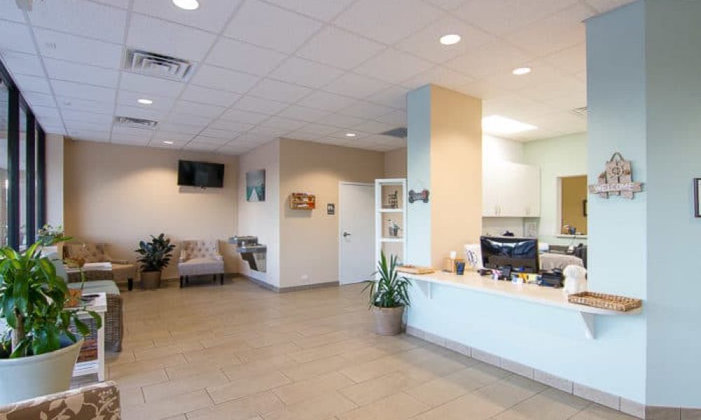 Website picture - front entry lobby