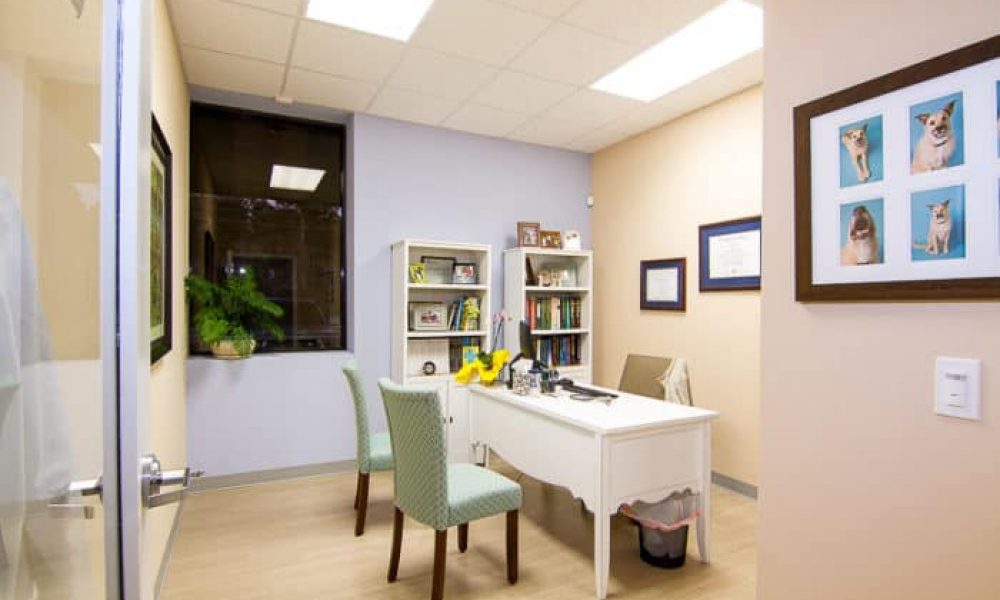 Website picture - office 1