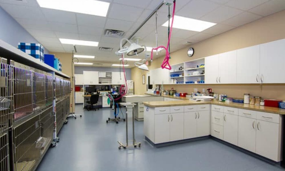 Website picture - procedure room