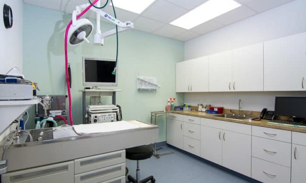 Website picture - special procedures room